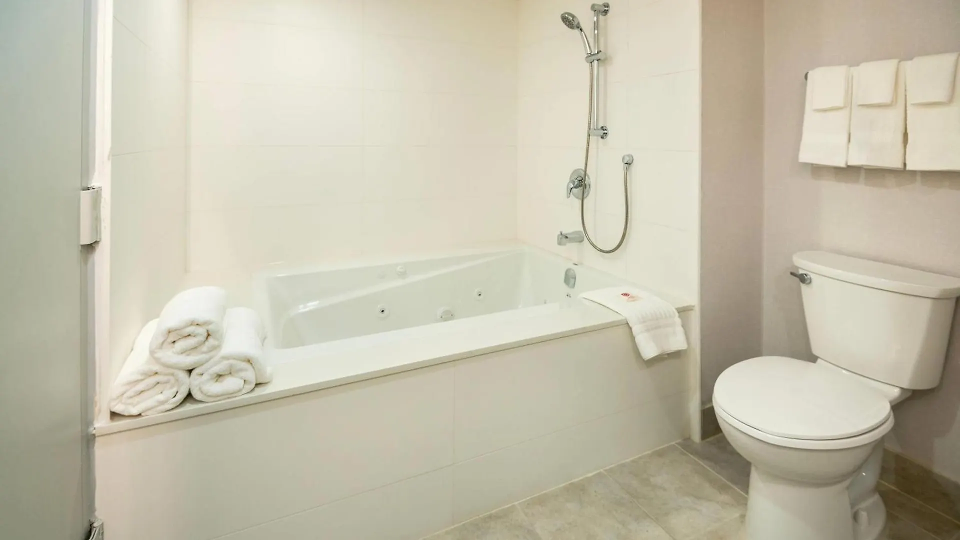 Comfort Inn & Conference Centre Toronto Airport