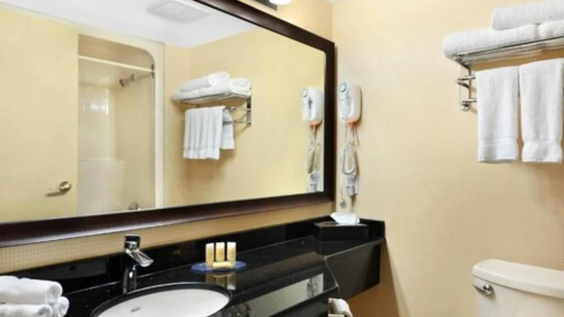 Comfort Inn & Conference Centre Toronto Airport