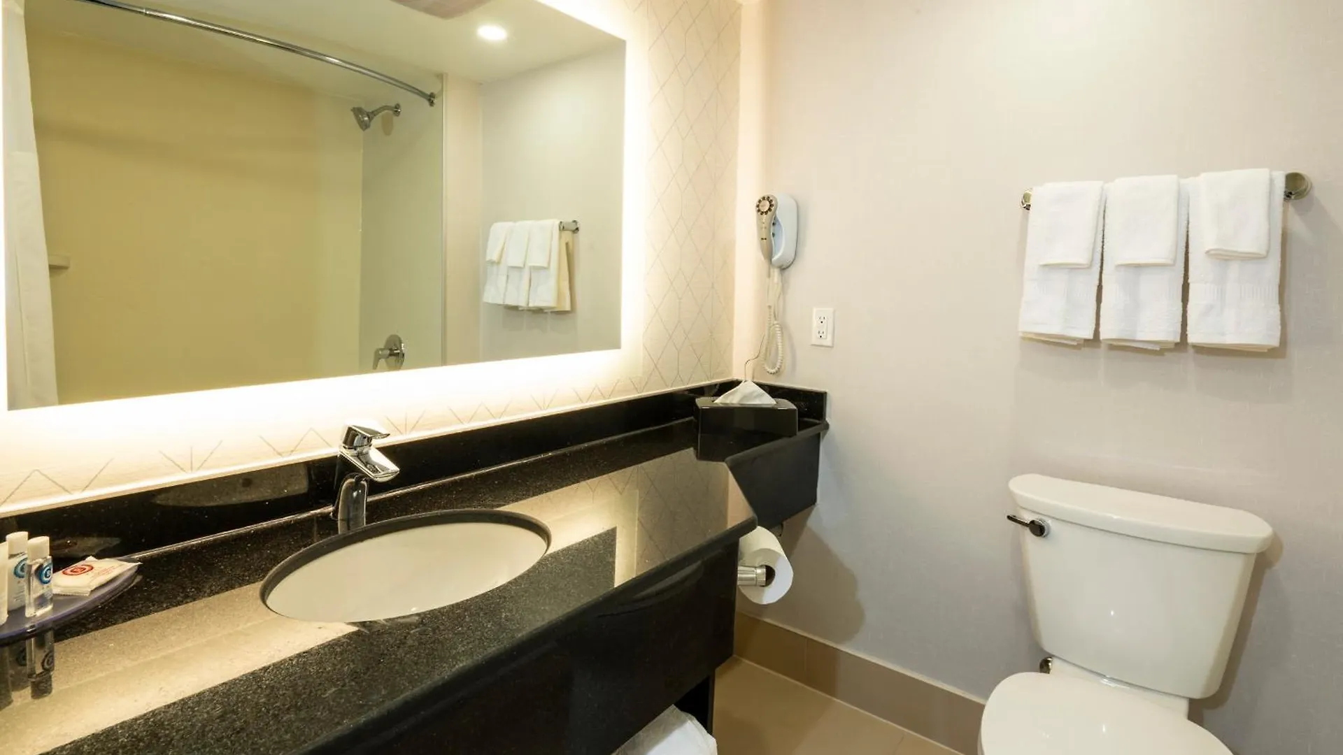 Comfort Inn & Conference Centre Toronto Airport 3*,  קנדה